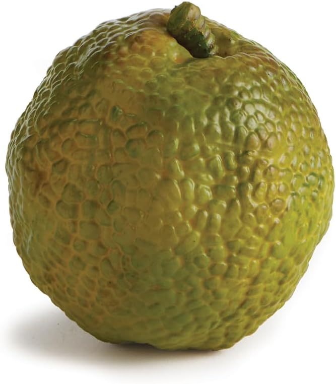 Napa Home Garden Hedge Apple 45 Inch