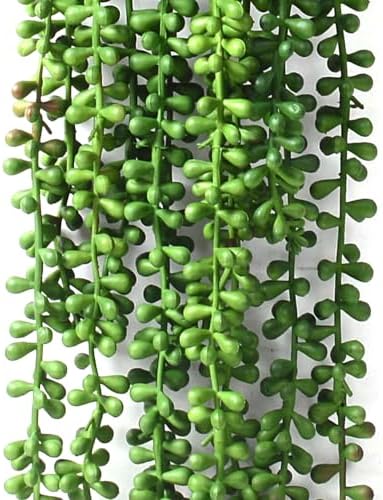 HANDIC 3 Pack Artificial String of Pearls Plants Green Hanging Decor