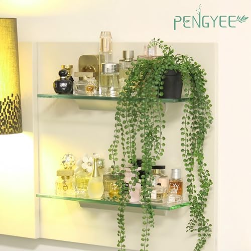 3 Packs Fake Hanging Plants with Pots and Twines for Wall Decor