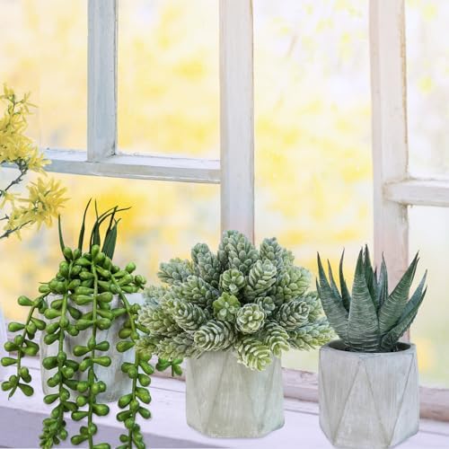 Winlyn Set of 3 Mini Artificial Succulent Plants in Gray Hexagon Ceramic Pots