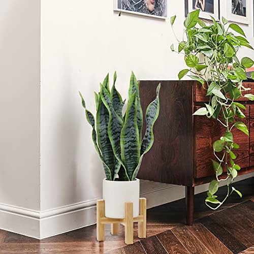Hollyone Artificial Snake Plant with Solid Wood Stand