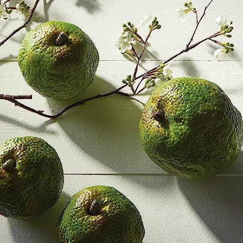 Napa Home Garden Hedge Apple 45 Inch