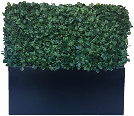 Artificial Boxwood Topiary Shrub Hedge Wall Greenery 12 Inch Rectangle Modern Decor