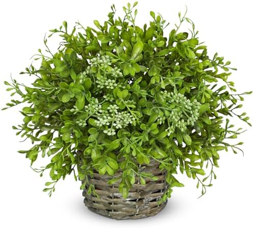 Hollyone Artificial Boxwood Plant in Woven Pot 9 Inch