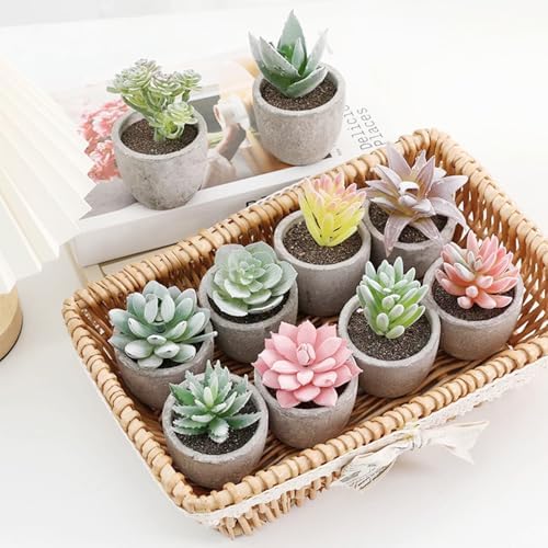 Cayway 6PCS Artificial Succulent Plants Indoor Decor
