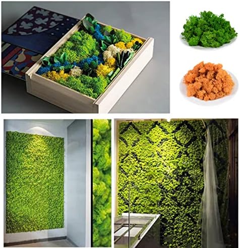 QueenBox 40g Multi-Color Artificial Moss for Home and Garden