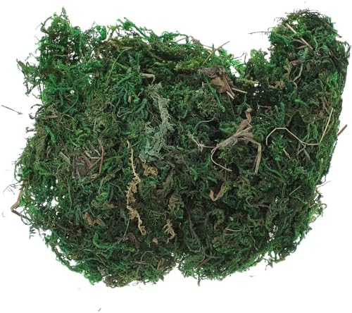 Garneck Artificial Moss for Home Garden Decor