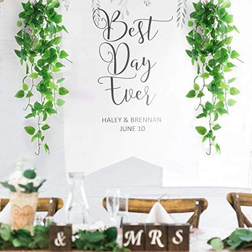 Mocoosy 2 Pack Artificial Hanging Plants with Baskets