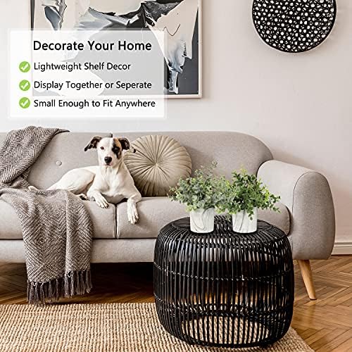 Hollyone Artificial Mini Potted Eucalyptus Plants for Home Decor
