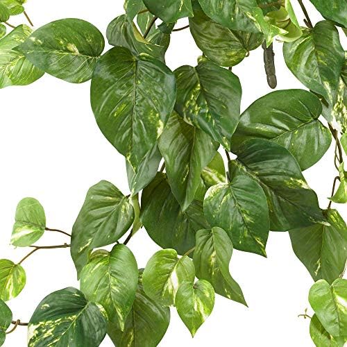 Nearly Natural 30 Inch Pothos Hanging Plants Set of 3