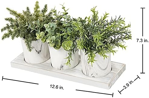 3 Pack Mini Potted Fake Plants Artificial Eucalyptus Rosemary with Wooden Tray Dusty Green Home Decor