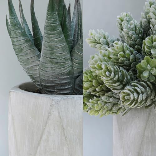 Winlyn Set of 3 Mini Artificial Succulent Plants in Gray Hexagon Ceramic Pots