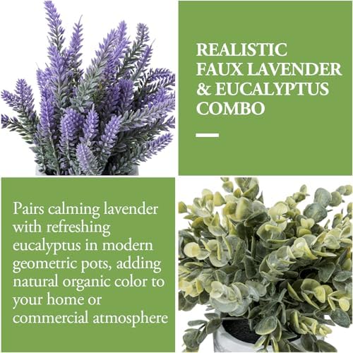 MyGift Artificial Eucalyptus and Lavender Plants in Modern Geometric Concrete Planters 2 Pc Set