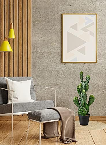 Serene Spaces Living Artificial Prickly Pear Cactus in Black Pot