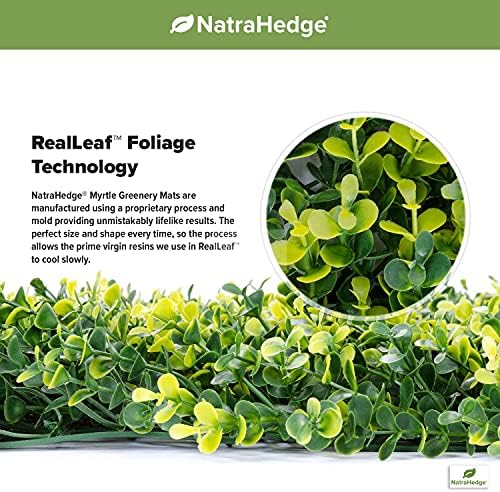 NatraHedge Long Stem Boxwood Hedge Mats 12-Pack 20x20 Greenery Panels