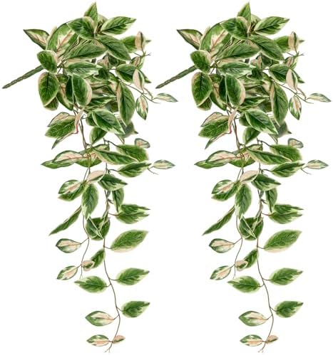 DILATATA 26 Inch Faux Peperomia Hanging Plants 2 Pack