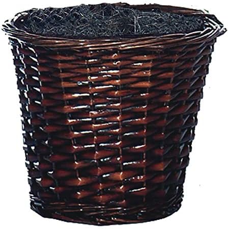 Vickerman 4 Feet Artificial Capensia Bush in Rattan Basket