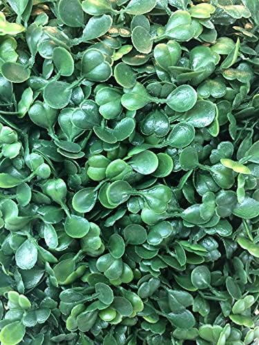 Artificial Boxwood Topiary Shrub Hedge Wall Greenery 12 Inch Rectangle Modern Decor