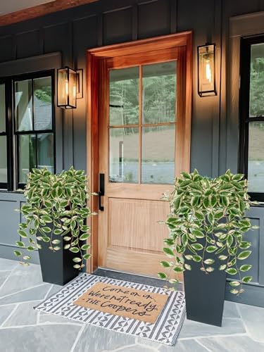 DILATATA 26 Inch Faux Peperomia Hanging Plants 2 Pack