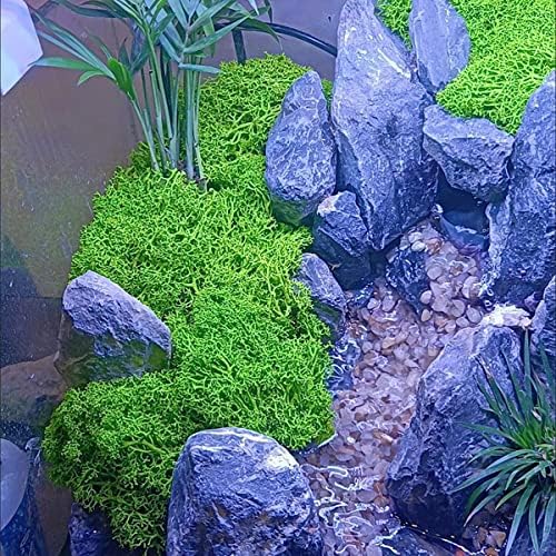 QueenBox 40g Multi-Color Artificial Moss for Home and Garden