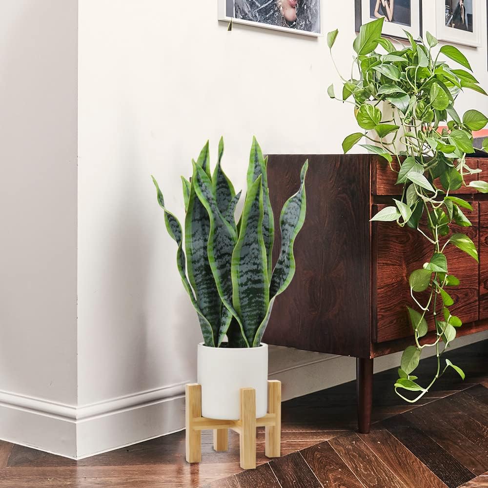 Hollyone Artificial Snake Plant with Solid Wood Stand