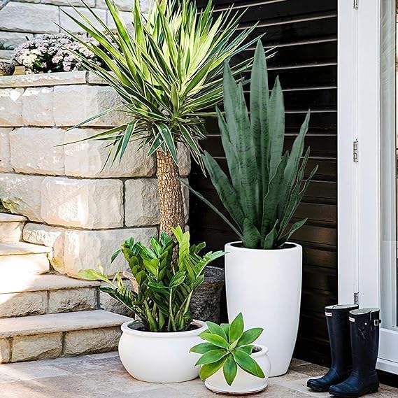 Summer Flower 23in Faux Snake Plant Leaves Set