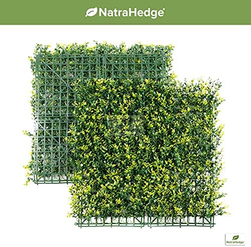 NatraHedge Long Stem Boxwood Hedge Mats 12-Pack 20x20 Greenery Panels