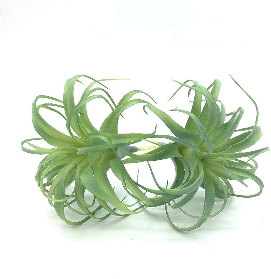 2 PCS Realistic Artificial Air Plants for Home Office Decoration