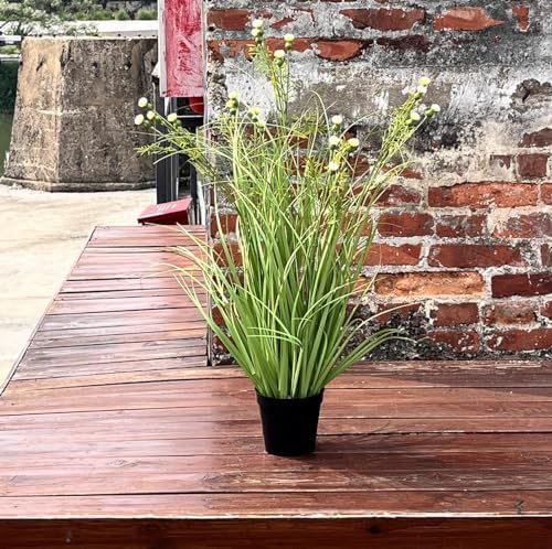 Fluxode Grass Plant with 20 Realistic Flowers