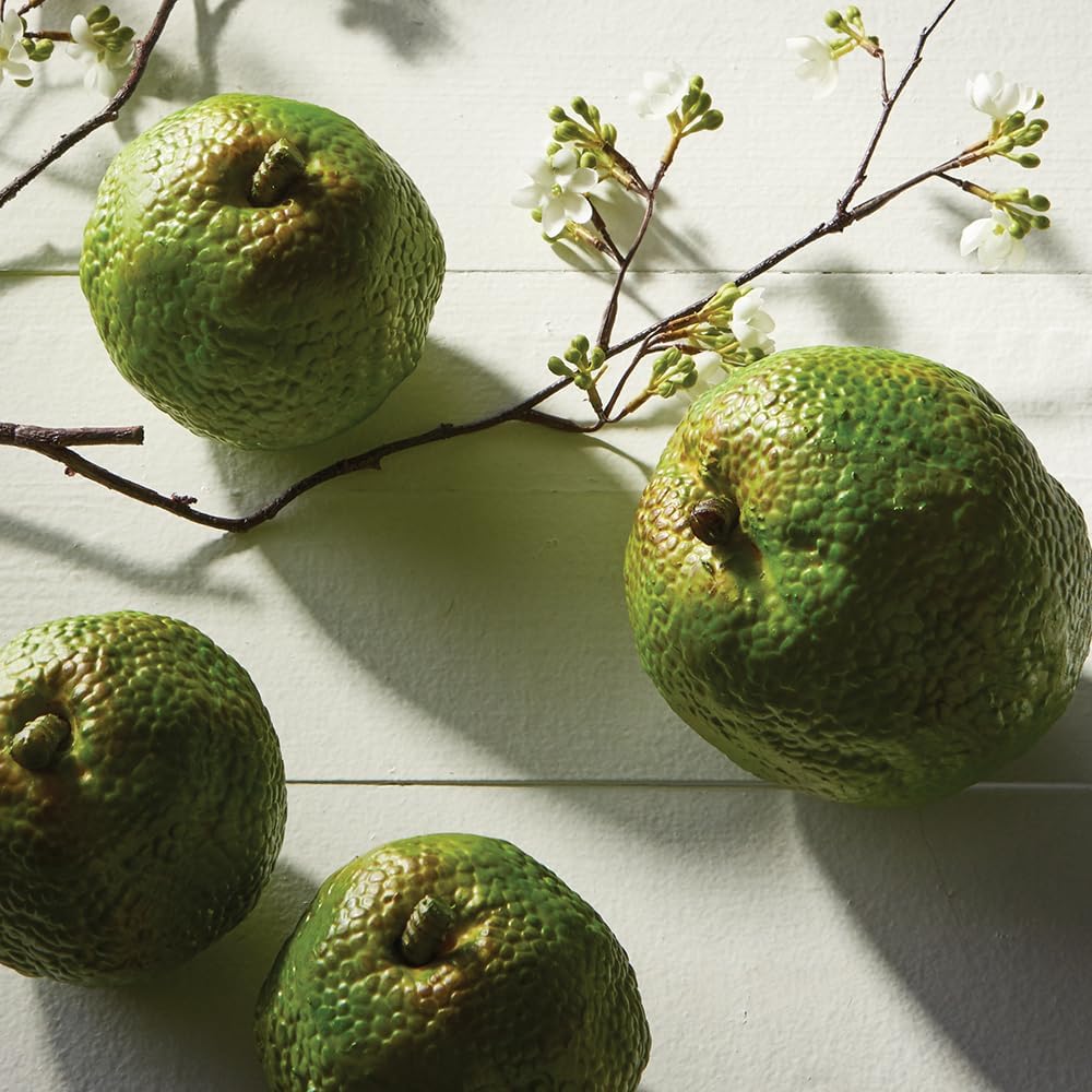 Napa Home Garden Hedge Apple 45 Inch