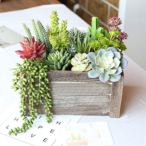 HUIANER Artificial String of Pearls Hanging Plants 134 Inch Pack of 2 for Home Office Decor