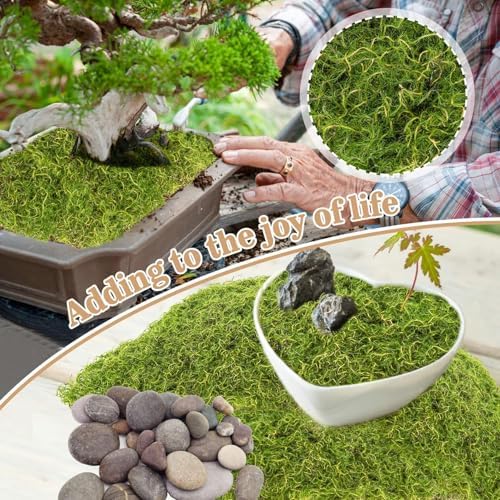 Sukh Faux Moss Sheet Green Artificial Moss for Crafts