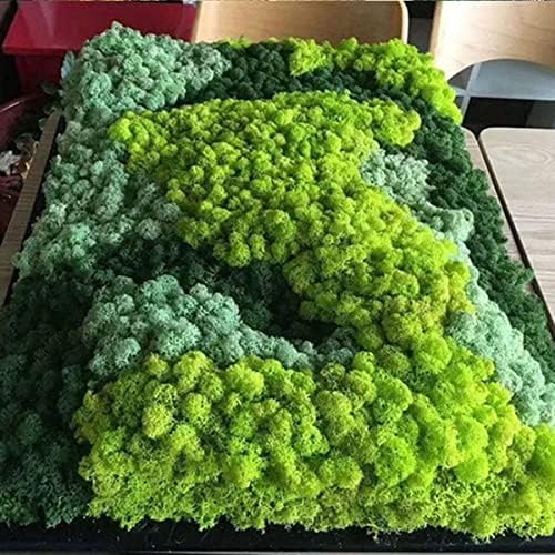QueenBox 40g Multi-Color Artificial Moss for Home and Garden
