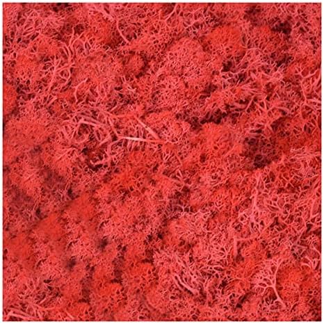QueenBox 40g Multi-Color Artificial Moss for Home and Garden