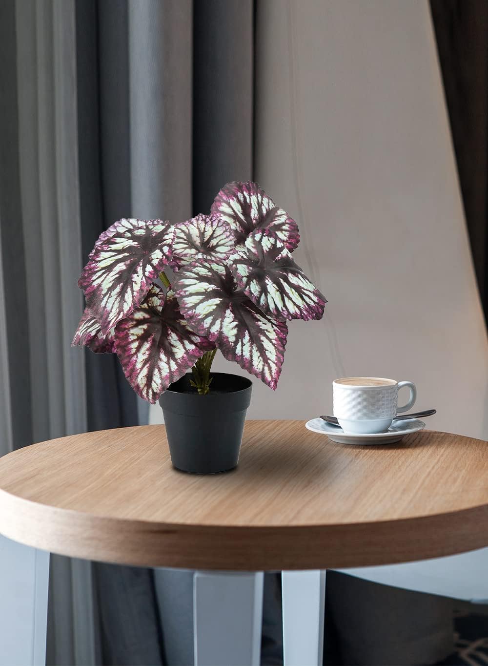 Serene Spaces Living Artificial Begonia Cathayana in Black Pot