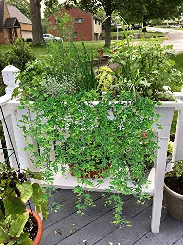 CATTREE Artificial Hanging Vine 2 Pcs UV Resistant Plastic Ivy Garland for Indoor Outdoor Decor