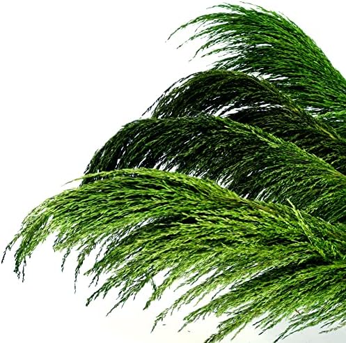 Green Pampas Grass Decor 4pcs 433 Inch Tall Artificial Plant with Natural Dried Flower Aroma