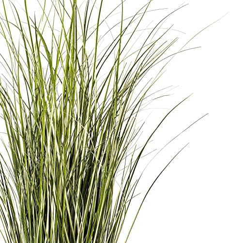 Vickerman 37 Inch Artificial Variegated Green Grass with Iron Pot