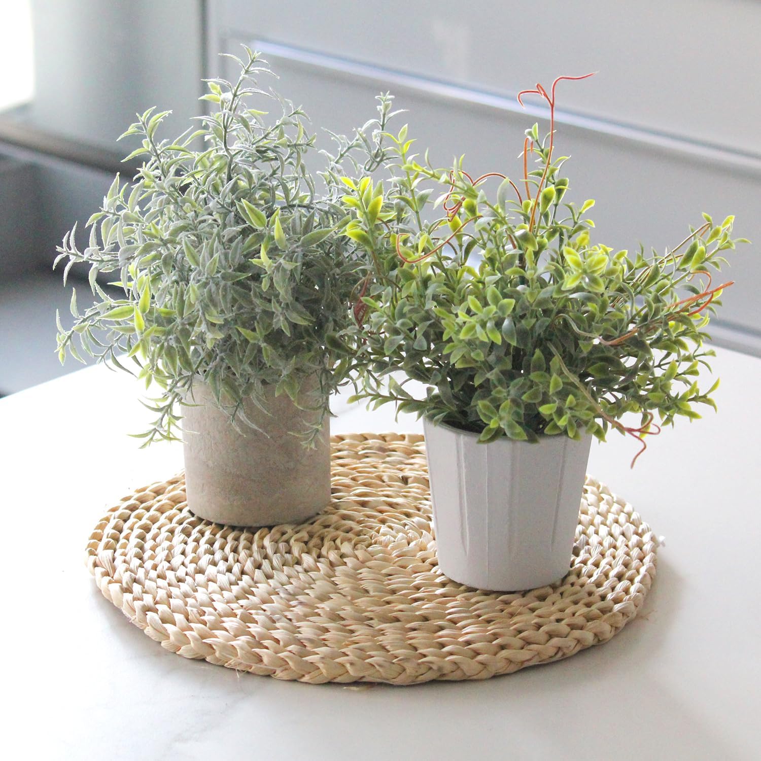 PENGYEE 3 Pack Small Artificial Plants for Indoor Decor