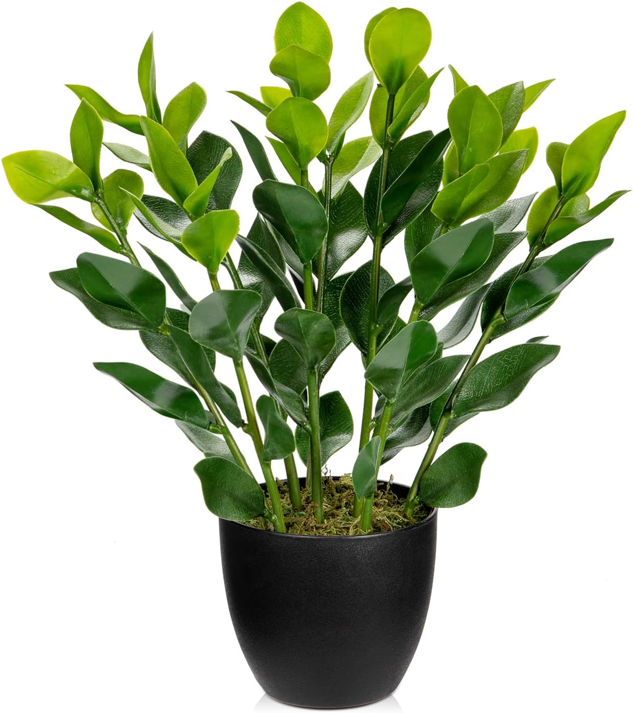 Hollyone Artificial ZZ Plant 18 Potted Home Decor