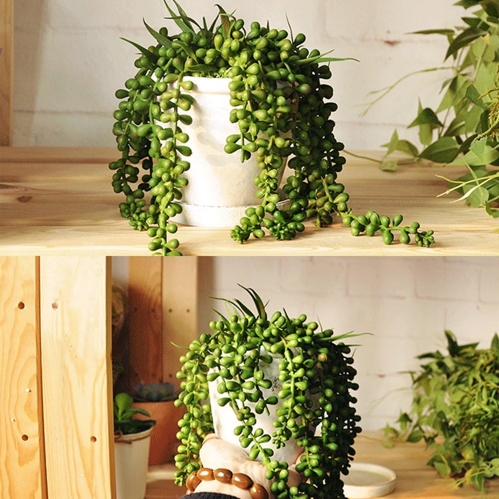 HUIANER Artificial String of Pearls Hanging Plants 134 Inch Pack of 2 for Home Office Decor