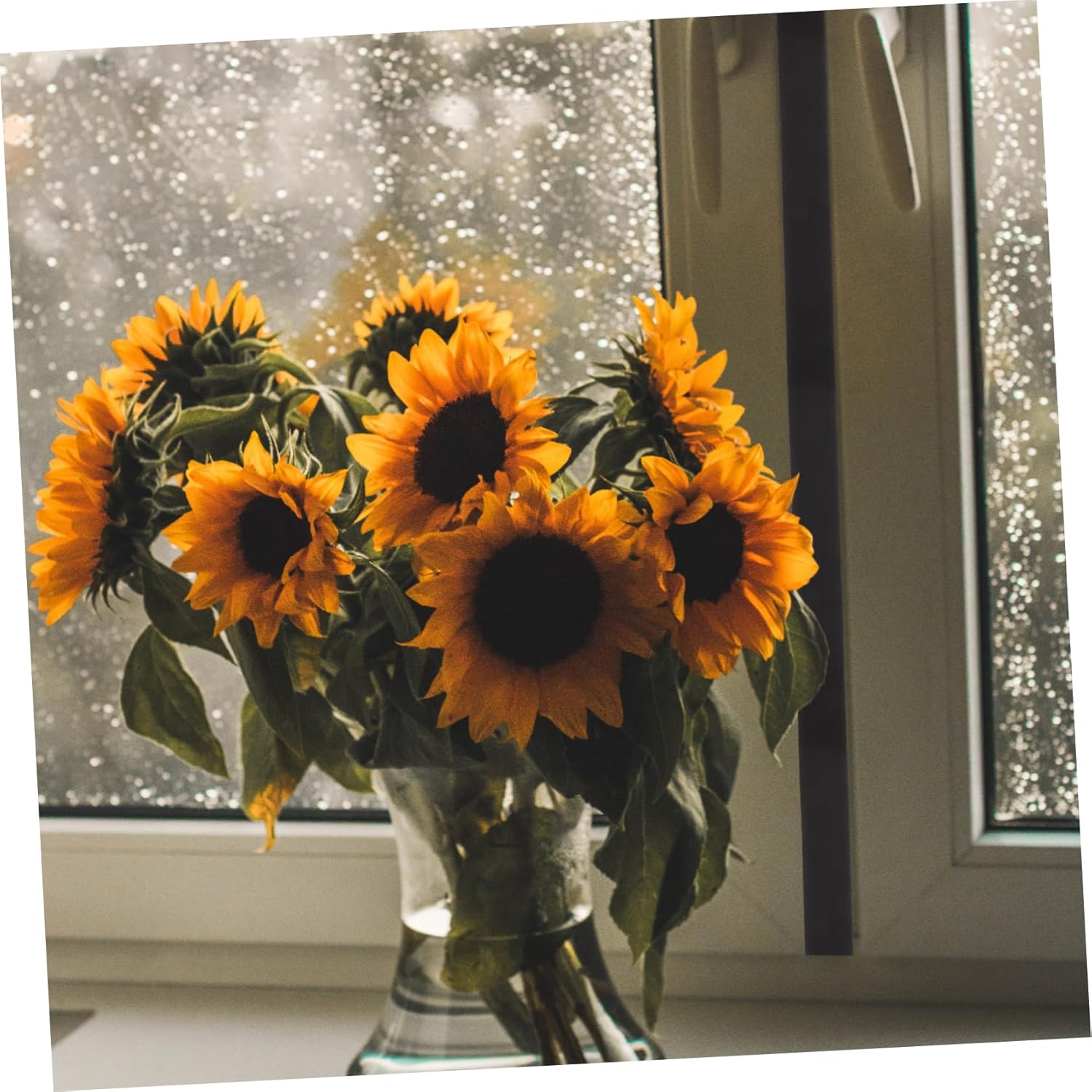 COHEALI Under Door Gap Filler Seal Strip Soundproofing Draft Blocker for Home Office