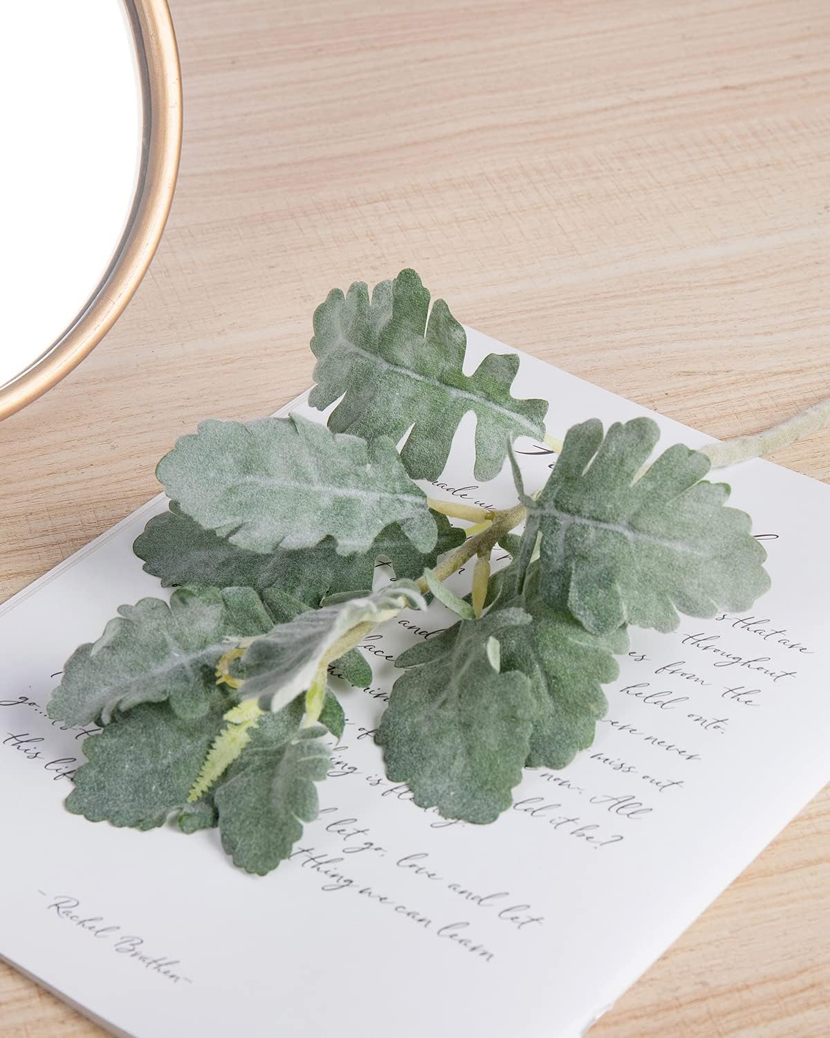 DuHouse Artificial Silver Dusty Miller Faux Lambs Ear Stems for Home Wedding Decor 6pcs