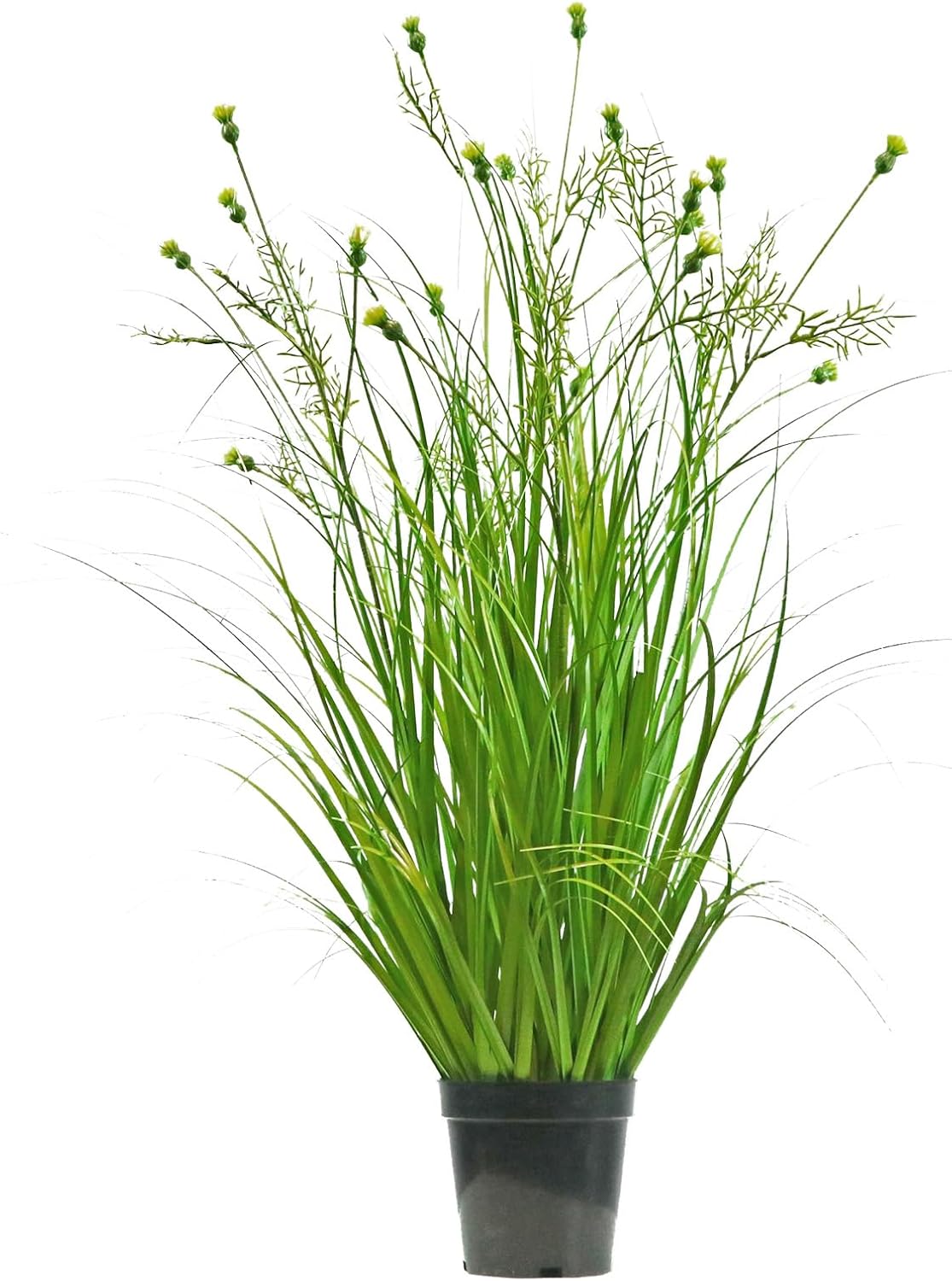 Fluxode Grass Plant with 20 Realistic Flowers