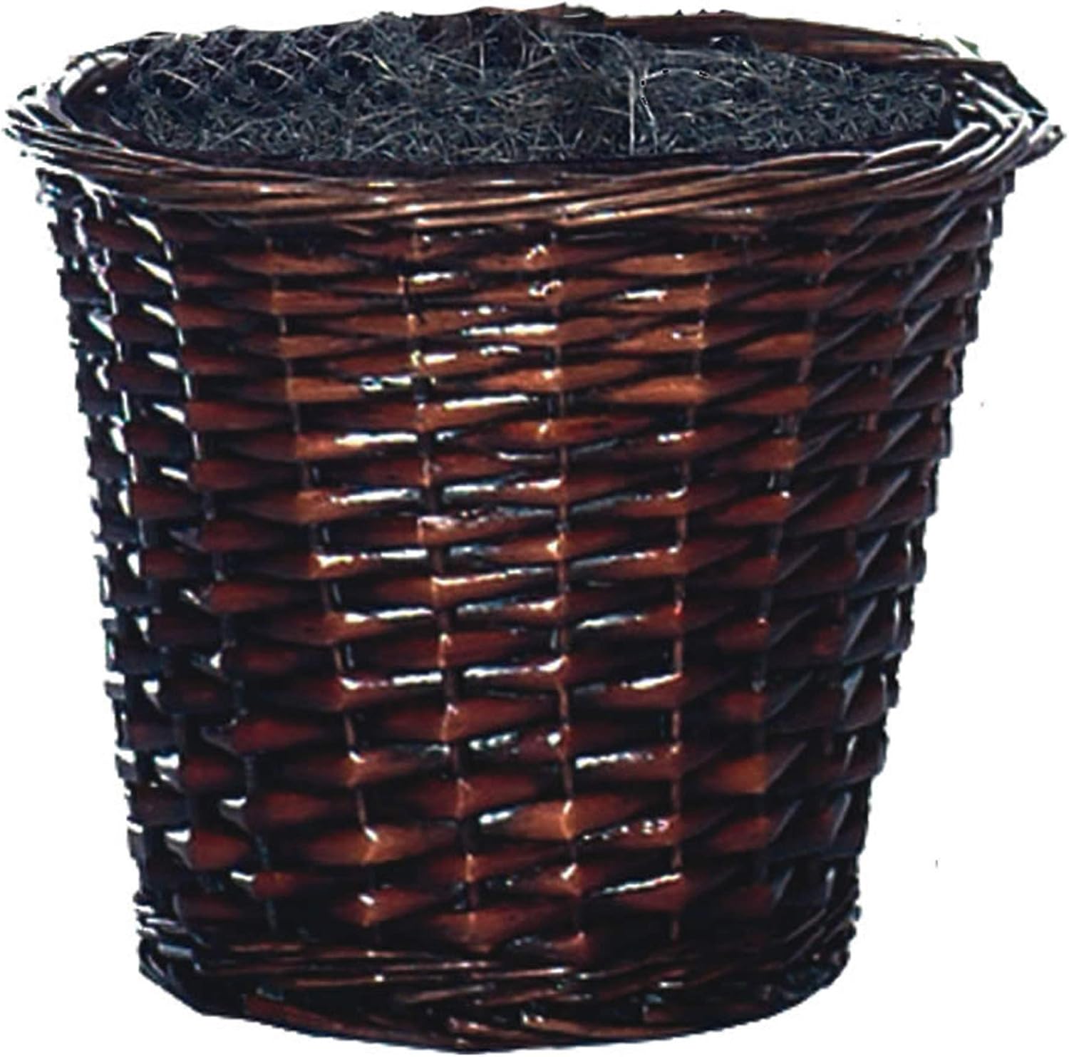 Vickerman 4 Feet Artificial Capensia Bush in Rattan Basket