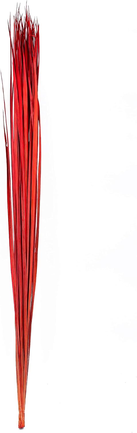 Leewadee Tall Vase Filler Red 45 Inch Natural Grass Stems