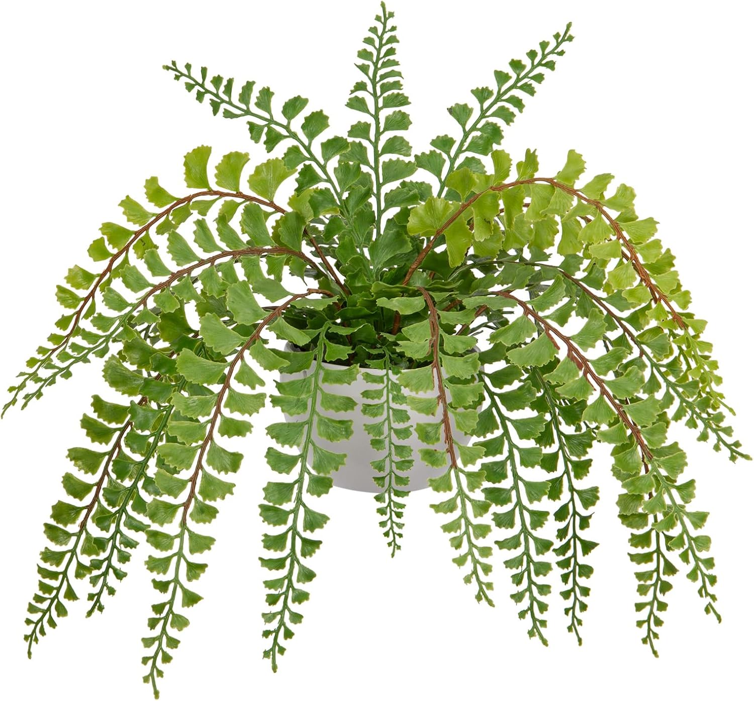 Hollyone Artificial Fern Potted Plant Indoor Outdoor