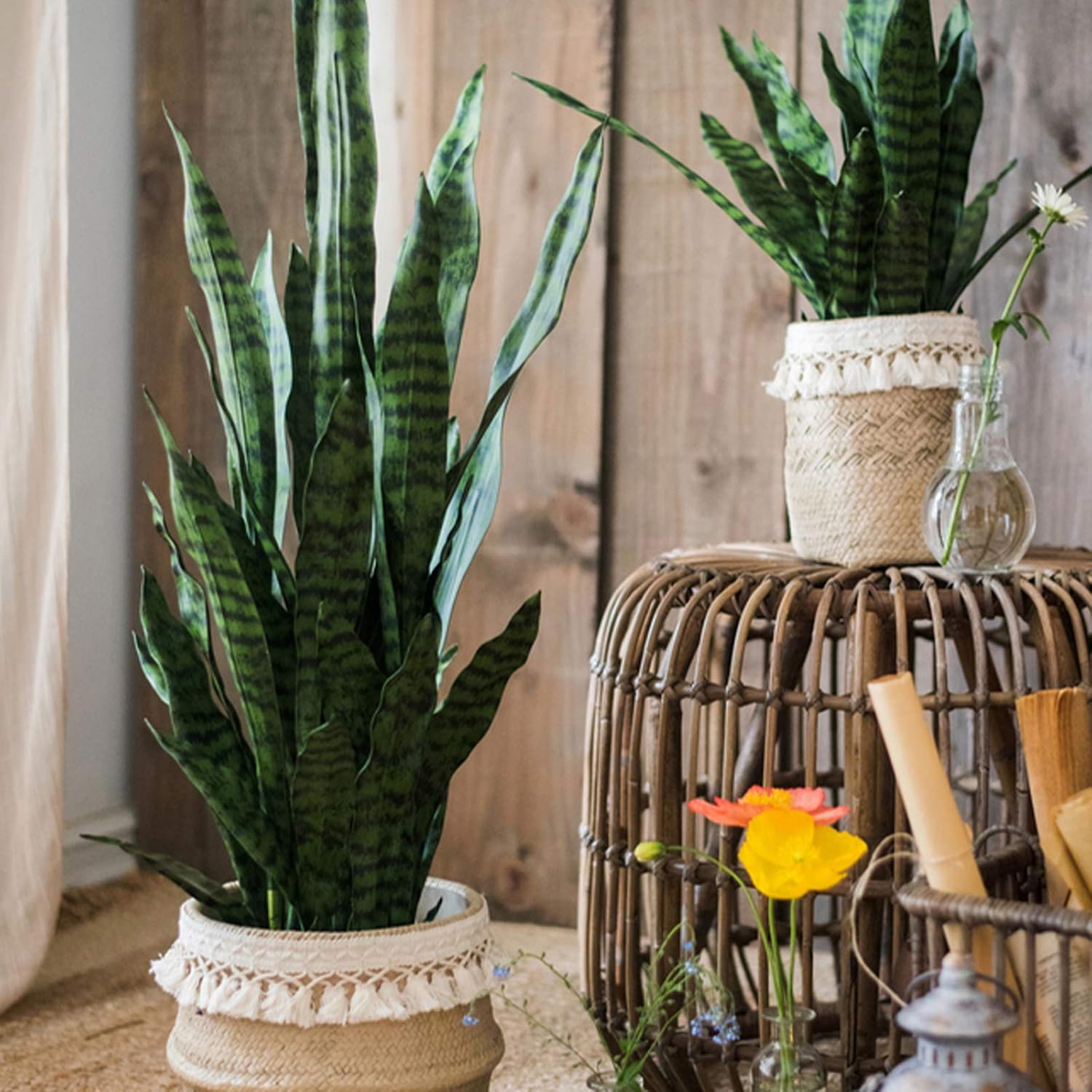 Summer Flower 23in Faux Snake Plant Leaves Set