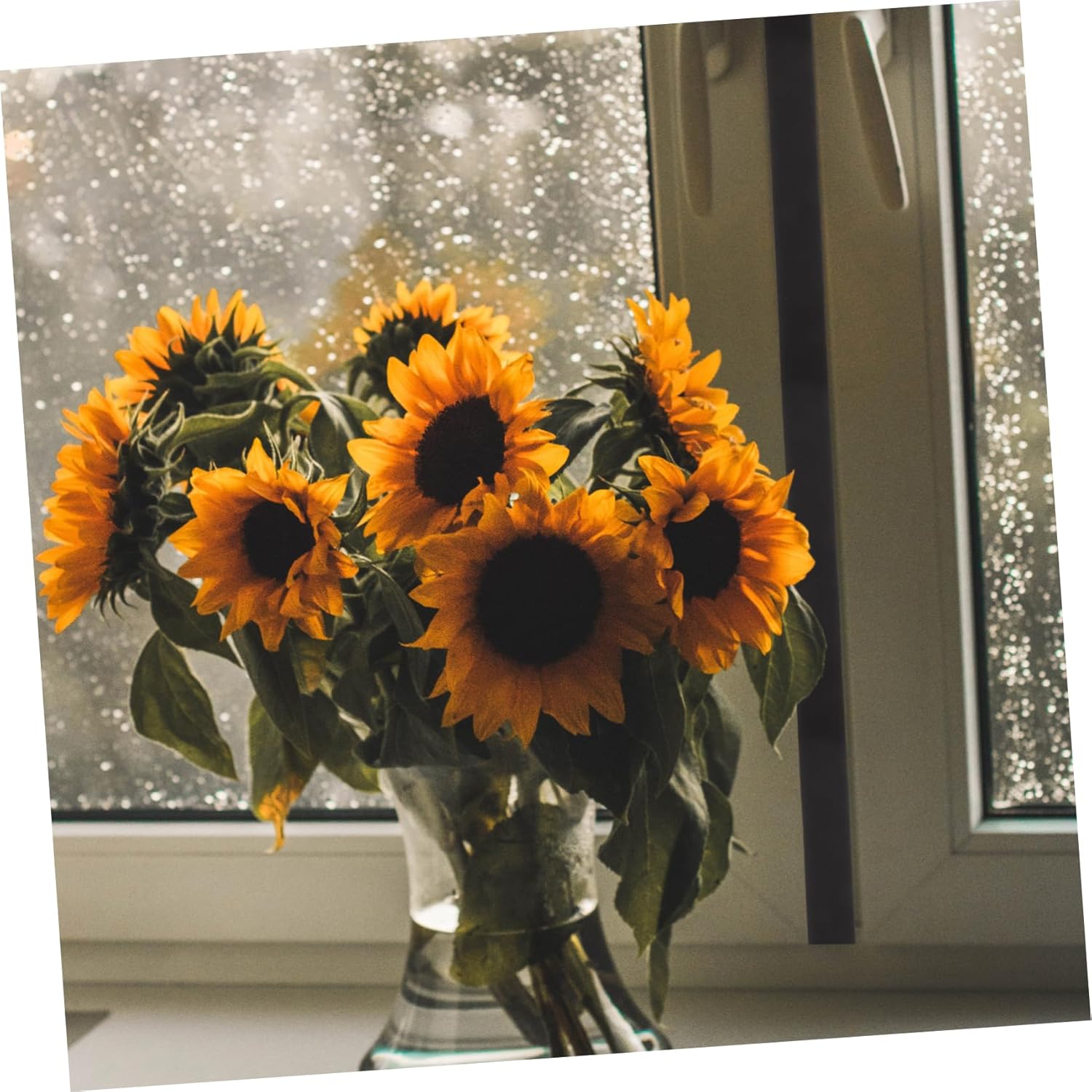 IMIKEYA Door Bottom Windproof Seal Strip Draft Stopper for Under Door Gaps