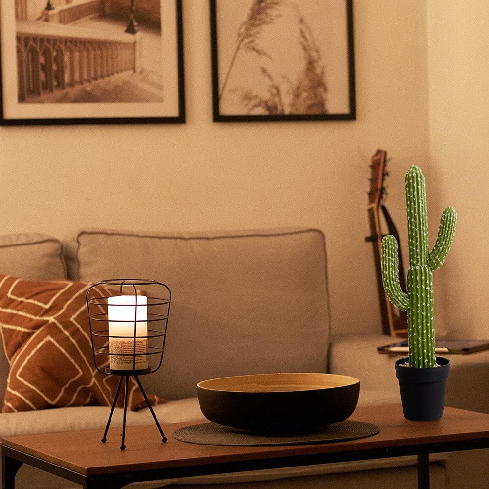 Momoplant Artificial Cactus Plant 24 Inch Tall with Black Planter